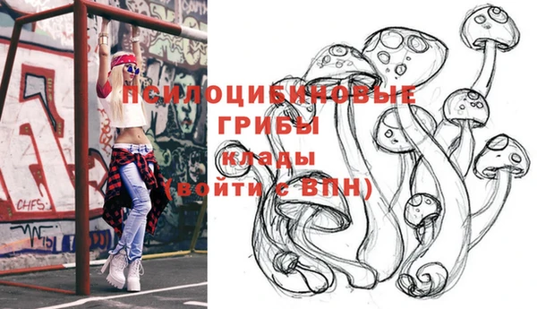 не бодяженный Богородицк