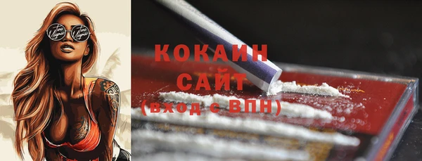соль ск Богданович