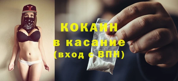 соль ск Богданович