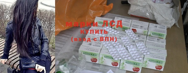 индика Белокуриха