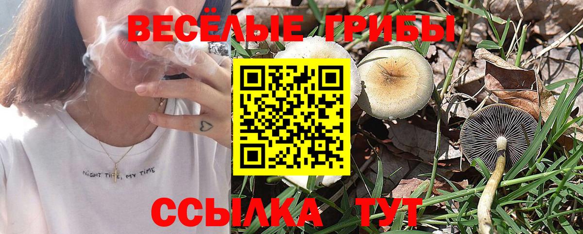 Северск  Галлюциногенные грибы Magic Shrooms  Вход с VPN  Галлюциногенные грибы GOLDEN TEACHER 
