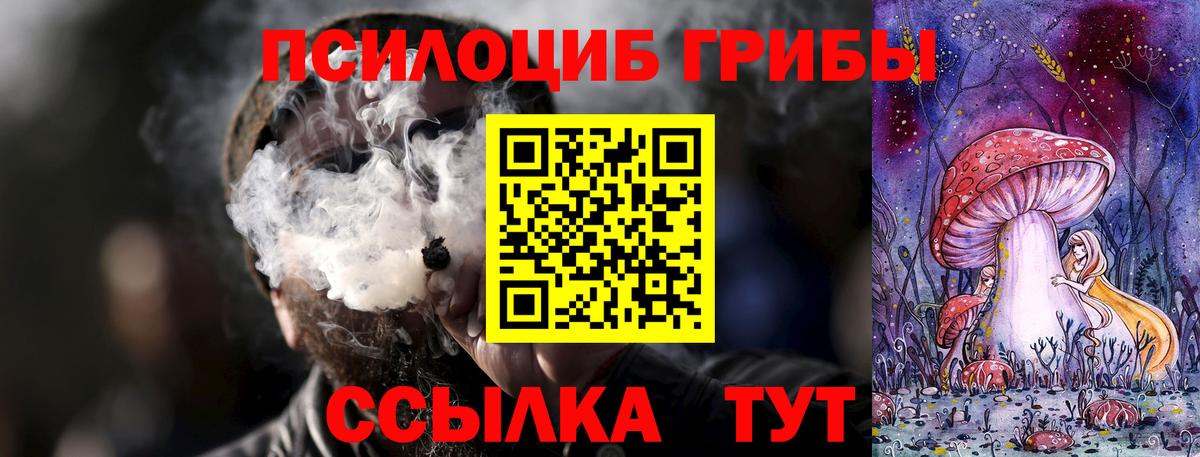 Галлюциногенные грибы прущие грибы Северск