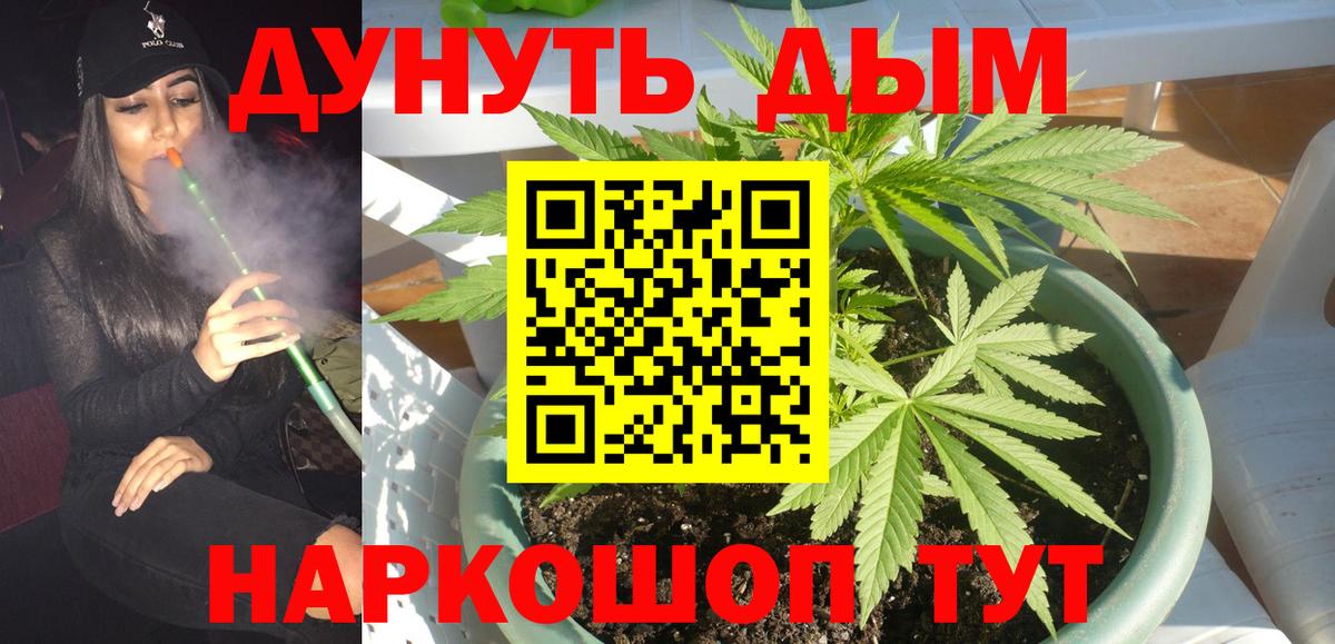 Бошки Шишки MAZAR Северск